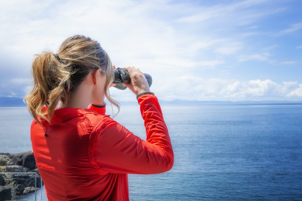 SookePoint’s elevated coastal position allows for natural whale watching directly from shoreline viewpoints and private balconies.