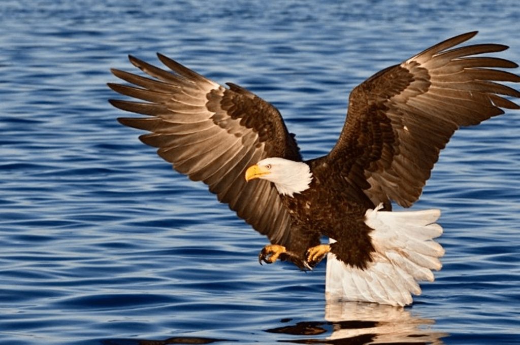 SookePoint is bordered by 3,600 acres of protected Wilderness Park.