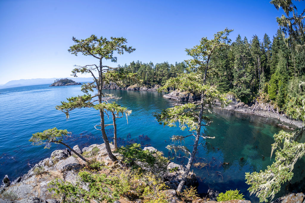 East Sooke Wilderness Park extends the coastal system inland.