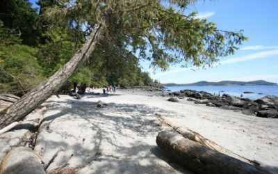 Victoria to Sooke Coastal Escape