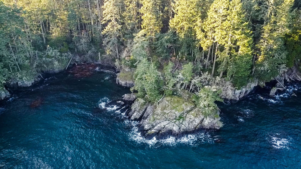 Rugged coastal terrain.