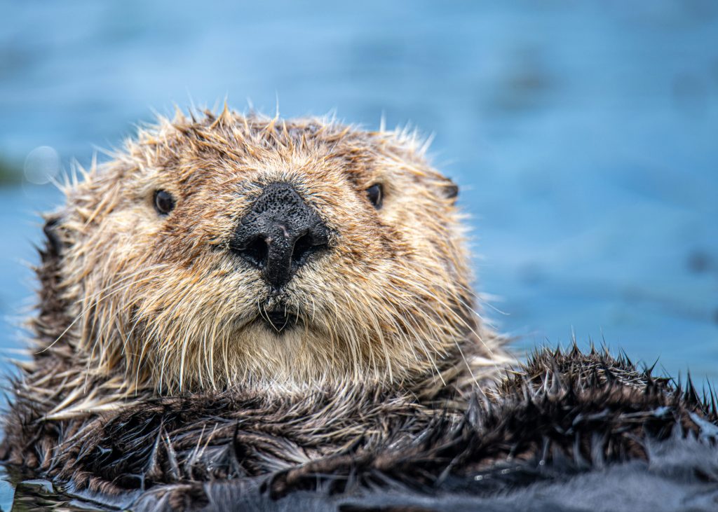 Nature abounds in the waters of Canada's South Pacific